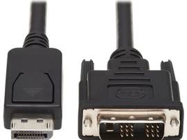 TRIPP LITE DISPLAYPORT DVI CABLE ANTIBACTERIAL 6FT