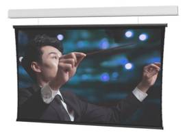Legrand AV-Da-Lite Screen WIRELINE TNSD 220D DV FLANGELESS