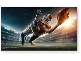 SHARP NEC 43IN PROFESSIONAL DISPLAY, 4K UHD, 1,000:1 CONTRAST RATIO, 16/7, 300NITS, LANDSCAPE, 2 X 8W SPEAKERS, USB MEDIA PLAYER, RS232C/LAN CONTROL