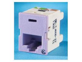 LEGRAND-ORTRONICS TJ,CAT6,CLRTY,T568A/B,PRPL