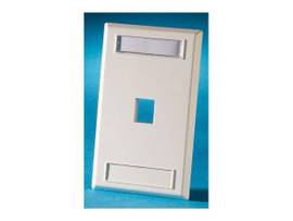 LEGRAND-ORTRONICS FP,KEYSTONE,1HOLE,SG,LBL DESG ELEC IV