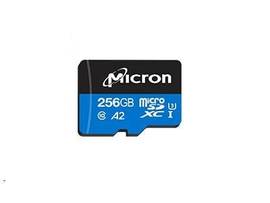 MICRON 256GB SD CRD