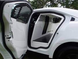 K9, INSERT, INSE, 13-19,
