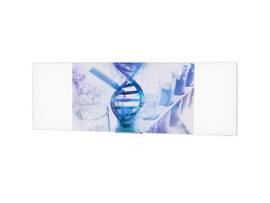Legrand AV-Da-Lite PANORAMIC 16:10 WIDE 100 24 53X29.625