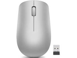 530 WIRELESS MOUSE (PLTNM GRY) BATTERY