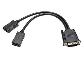 DMS-59 to Dual DisplayPort Splitter Y Cable (M to 2xF), 1-ft.