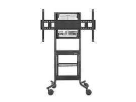 AVTEQ HEIGHT ADJUSTABLE, SINGLE DISPLAY AV CAR