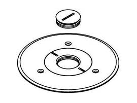 LEGRAND-WIREMOLD BRASS CPT COMB PLT 1 PLG