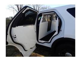 K9, INSERT, INUT, 13-19,