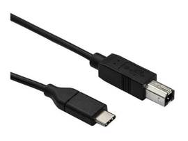 AXIOM USB 2.0 TYPE-C TO USB TYPE-B CABLE M/M 10FT