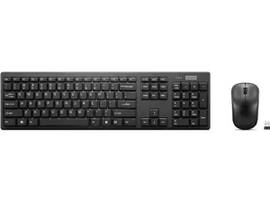 LENOVO KB MICE_BO LENOVO 100 WL COMBO