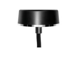 Collie Series 4-in-1 Antenna