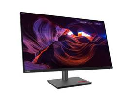 LENOVO P32P-30(A22315UP0) 31.5 MONITOR(HDMI)CAM