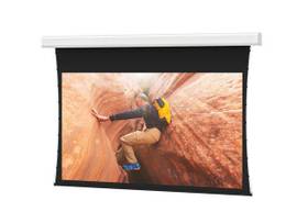 Legrand AV-Da-Lite Tensioned Advantage Electrol Screen, 226 Inch Diagonal, Paral
