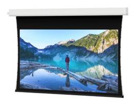 Legrand AV-Da-Lite Screen ADVANTAGE TNSD 110D PRLX PUR 0.8