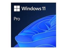 WIN PRO 11 64-BIT ALL LNG PK LIC ONLINE DWNLD NR
