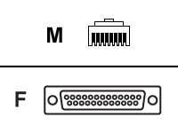 DIGI 48 RJ 45/DB25F STR CBL (10 PIN)