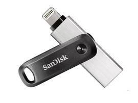 SANDISK SDIX60N-256G-GN6NE,IXPAND TREVOR,TYPE A