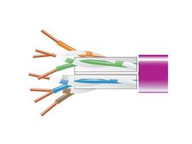 CAT6 550-MHz Solid Ethernet Bulk Cable - Unshielded (UTP), CMP Plenum, Purple, 1
