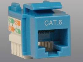 TRIPP LITE CAT6/5E BLUE WALLPLATE KEYSTONE JACK