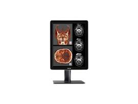 NIO 2MP COL 2H NO COVER NO CARD
