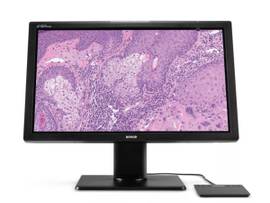 BARCO PATHOL C 8MP-1H: ONE MDPC-8127 CLR DIG PATHOL DSPL INCLUDING ONE MXRT-4700 CRD US CBL / ACCORIES