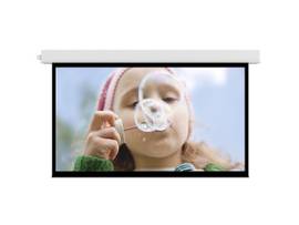 Legrand AV-Da-Lite Screen ADVANTAGE 110D 54X96NPA HCMW