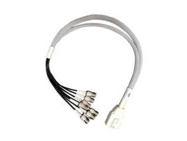 2 FT. 8 PORT RPTNC JACK DART CABLE ASSEM