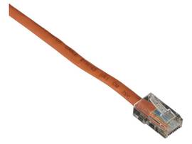 Black Box Connect CAT5e 100 MHz Ethernet Patch Cable UTP PVC Basic Connectors Or