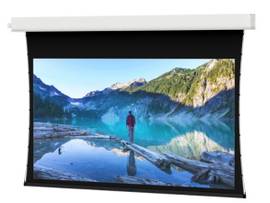 Legrand AV-Da-Lite Ceiling Recessed Electric Screen with Plenum Rated Aluminum C