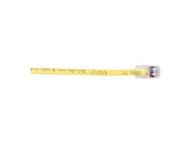 CAT6 Solid-Conductor Backbone Cable, Plenum, Yellow, 35-ft. (10.6-m)