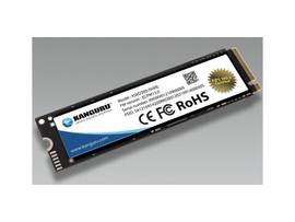 KANGURU 500GB DEFENDER SED300 NVME, DATA DEFENSE BUNDLE.