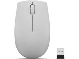 LENOVO MICE_BO L300 WL MOUSE (ARCTIC GREY)