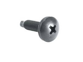 HP - 10-32 Rackscrew Truss-Head - 100 Piece - Truss-head style, 10-32 threaded -