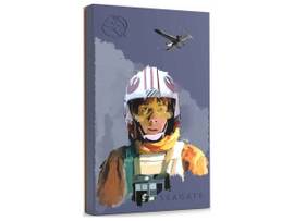 SEAGATE FIRECUDA GAMING HARD DRIVE - 2TB LUKE SKYWALKER SPEC ED USB 3.2 GEN 1