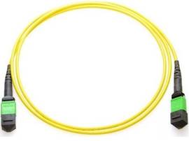 AXIOM MPO FEMALE TO MPO FEMALE SINGLEMODE 9/125 FIBER OPTIC CABLE - 6M