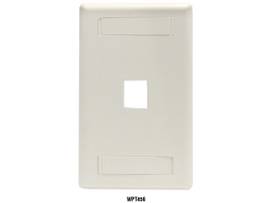 BLACK BOX CORP TION2 WALLPLATE 1-PORT SINGLE-GAN WPT456