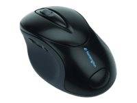 LENOVO PROFIT USB WRLSS FLLSIZE MOUSE