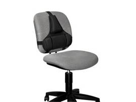 FELLOWES PROFESSIONAL SERIES BACK SUPPORT