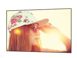 Legrand AV-Da-Lite Ambient Light Rejecting Fixed Frame Screen with Thin 3/8 Inch