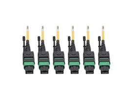 TRIPP LITE CABLE MTP/MPO 40/100 GBE 24-STRAND 11M
