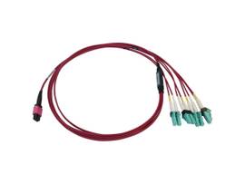 TRIPP LITE FIBER CABLE 12F MTP/MPO-PC TO 4XLC/PC 5M