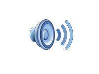 LEXMARK ACCESSIBILITY SPEECH - LIC