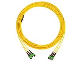 TRIPP LITE FIBER CABLE SMF 3X8F MTP/MPO-APC F/F 61M