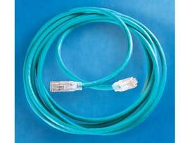LEGRAND-ORTRONICS CORD CLARITY 6, 1FT, BLU