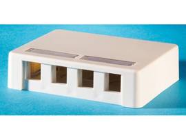 LEGRAND-ORTRONICS SMB,KEYSTONE,4PORT FOG WHITE