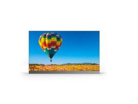 SHARP NEC DVLED 2.5MM PITCH VIDEO WALL - 217IN DIAGONAL FHD (1920 X 1080) NATIVE RESOLUTION. INCLUDES WALL LED MODULES, CONTROLLER, WALL MOUNT, FRAME