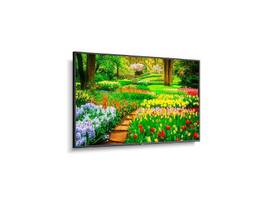 SHARP NEC 49IN PROFESSIONAL DISPLAY, 4K UHD, 24/7, 500NITS, LANDSCAPE/PORTRAIT, HDMI IN X2, HIGH HAZE ANTI REFLECTIVE, METAL CHASSIS, SDM COMPATIBLE