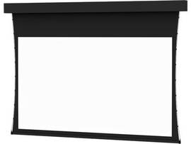 LEGRAND-DA-LITE SCREEN PROFESSIONAL TNSD 220D DV HDTV