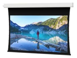 LEGRAND-DA-LITE SCREEN ADVANTAGE TNSD 137D HDC1.1 220